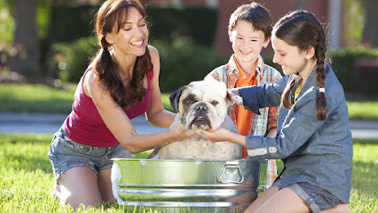 Glendale Animal Hospital Glendale Animal Hospital