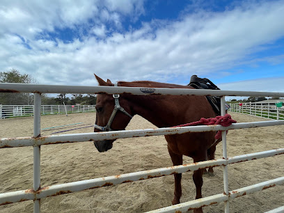 Therapeutic Riding Center of Huntington Beach Therapeutic Riding Center of Huntington Beach
