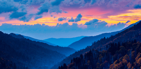 Associated Pain Specialists