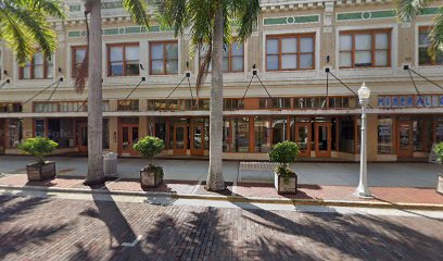 Regenerative Medical Therapy