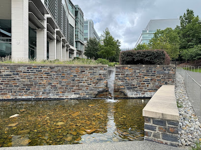 Duke University School of Medicine