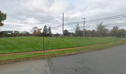 Jersey Joint, Spine, & Regen