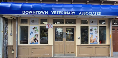Downtown Veterinary Associates