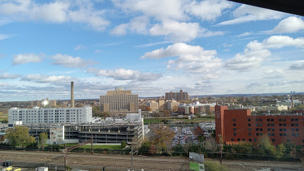 Montefiore Medical Center: Einstein Campus