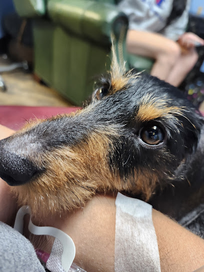 Elite Performance Hydration