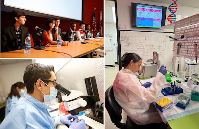 Pathways to Stem Cell Science