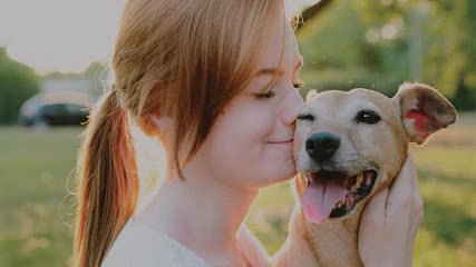 Green Tree Animal Hospital