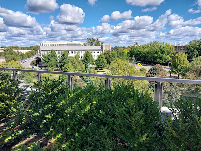 Duke Cancer Institute