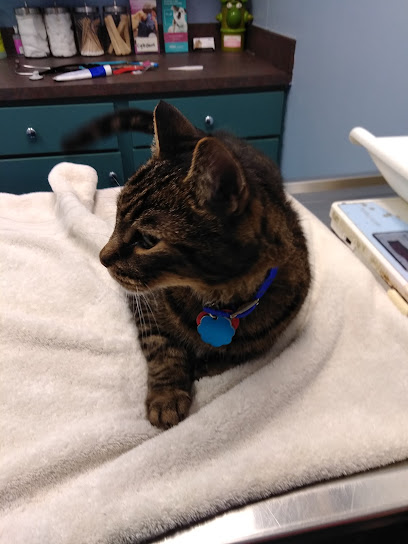 VCA Animal Care Center