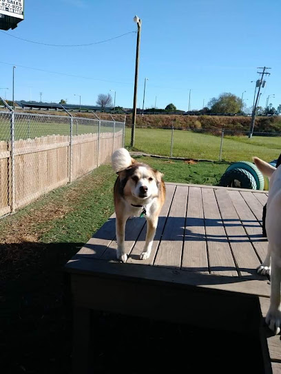 Animal Medical Center Animal Medical Center