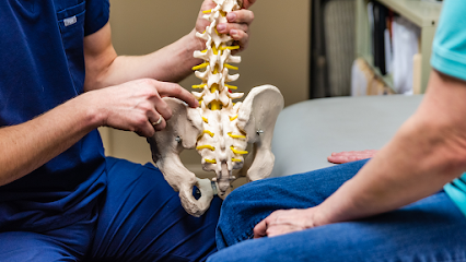 American Wellness and Chiropractic