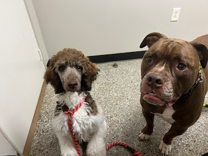 Crater Road Veterinary Hospital Crater Road Veterinary Hospital