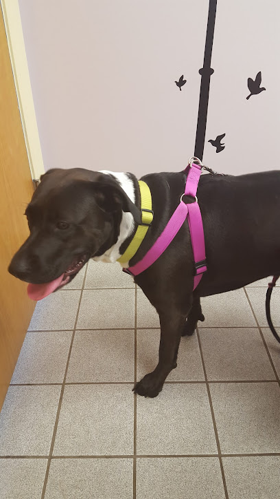 VCA Airline Boulevard Animal Hospital VCA Airline Boulevard Animal Hospital