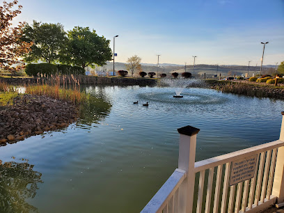 Carilion New River Valley Medical Center: Emergency Room Carilion New River Valley Medical Center: Emergency Room