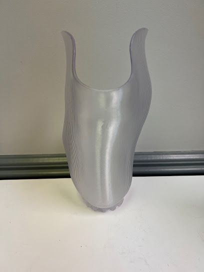 Bionic Innovations Prosthetics and Orthotics