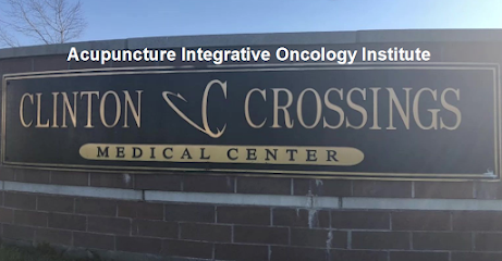 Acupuncture Integrative Oncology Institute Acupuncture Integrative Oncology Institute