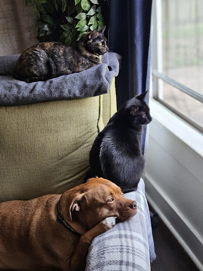 St Francis Veterinary Clinic: Stone, Sharon DVM St Francis Veterinary Clinic: Stone, Sharon DVM