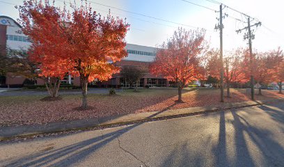Neurosurgical Associates PC at Anniston Orthopaedics – Carl M. Nechtman M.D. Neurosurgical Associates PC at Anniston Orthopaedics – Carl M. Nechtman M.D.