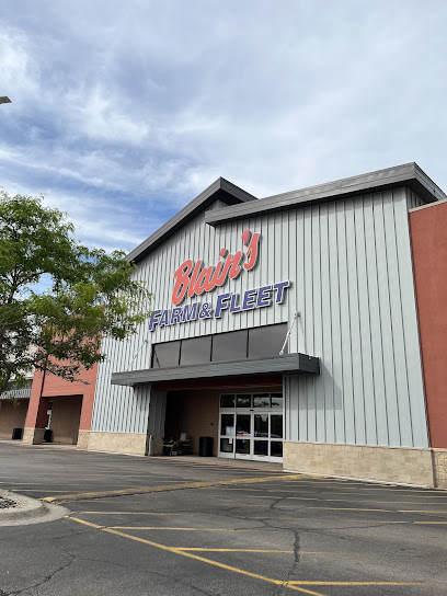 Blain’s Farm & Fleet – Elgin, Illinois