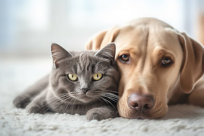 BrightCare Veterinary Group – Animal Neurology & Imaging BrightCare Veterinary Group – Animal Neurology & Imaging