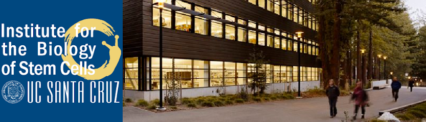 Institute for the Biology of Stem Cells (IBSC) at UC Santa Cruz Institute for the Biology of Stem Cells (IBSC) at UC Santa Cruz