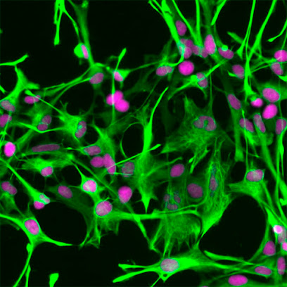 Cells Online