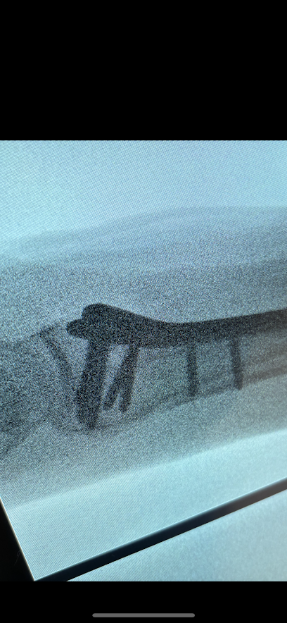 Richard Choi Orthopaedics Richard Choi Orthopaedics