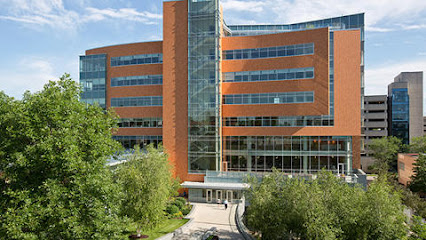 Mayo Clinic Orthopedics and Sports Medicine Mayo Clinic Orthopedics and Sports Medicine