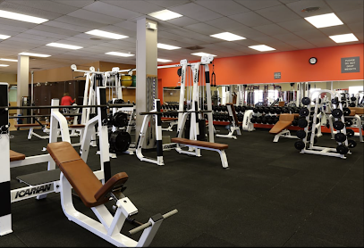 Rehab It Physical Therapy & Wellness Rehab It Physical Therapy & Wellness