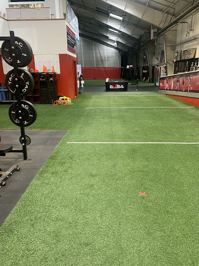 Evolution Physical Therapy- Stamford Evolution Physical Therapy- Stamford