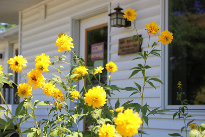 Champlain Center for Natural Medicine